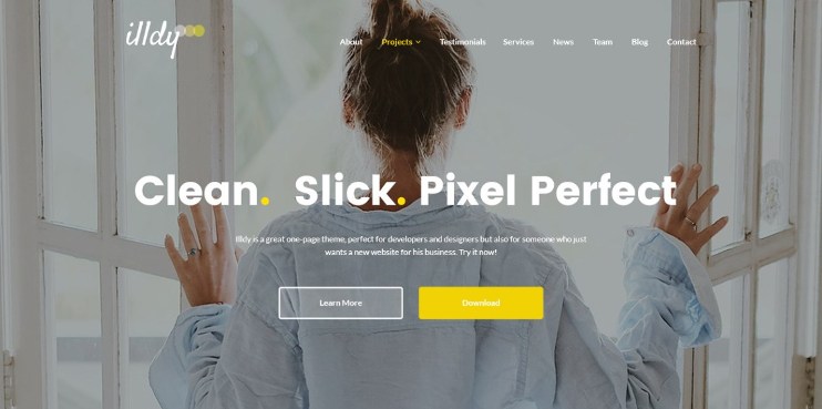 illdy wordpress theme